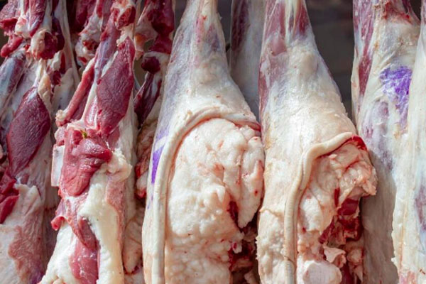 今日羊肉价全国一览表