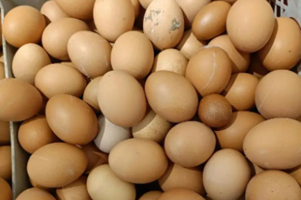 卖鸡蛋的利润有多少？