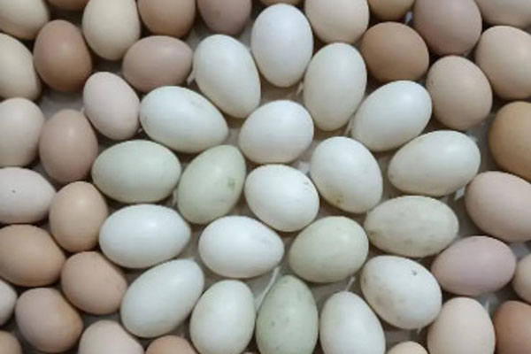 摆摊卖鸡蛋1斤利润有多少？