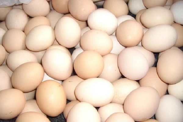 2024鸡蛋价格何时才能大涨？目前鸡蛋价格多少钱一斤？