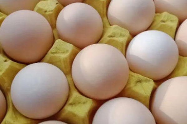 今天鸡蛋多少钱一斤？