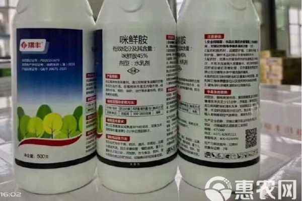 咪鮮胺主要治療哪些病害？-圖片版權(quán)歸惠農(nóng)網(wǎng)所有
