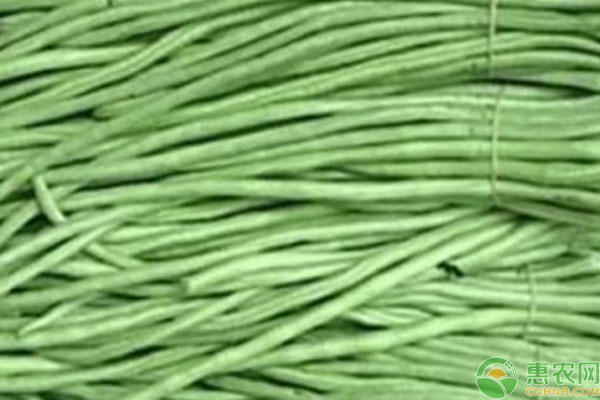 豇豆怎樣種植才高產(chǎn)？-圖片版權(quán)歸惠農(nóng)網(wǎng)所有