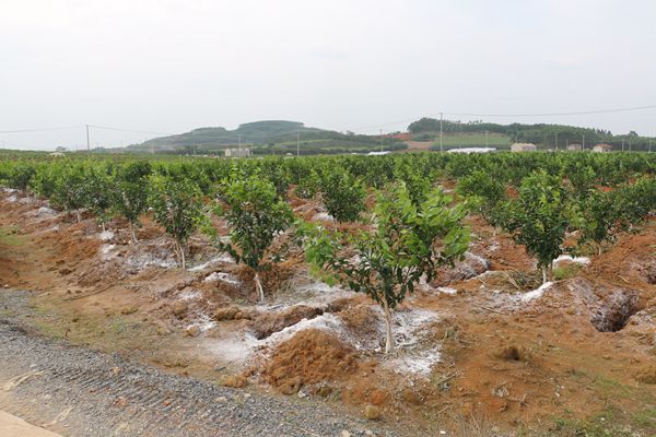 寒潮级降温将至，局地降温或超14℃，影响了哪些地区？