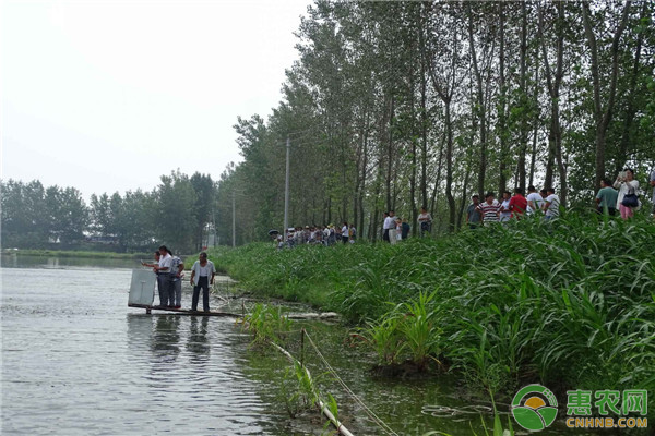 冬天水產(chǎn)養(yǎng)殖如何保證水溫？-圖片版權(quán)歸惠農(nóng)網(wǎng)所有