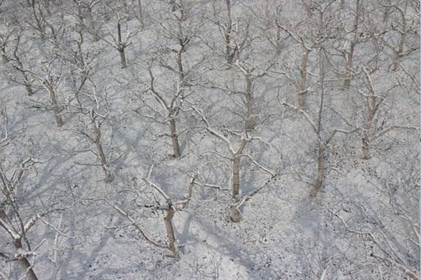 2024大雪节气是哪一天？有哪些习俗？