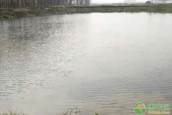 北方冬季魚(yú)池如何越冬？-圖片版權(quán)歸惠農(nóng)網(wǎng)所有