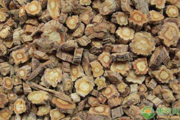防风药材最佳种植季节是几月？-图片版权归惠农网所有