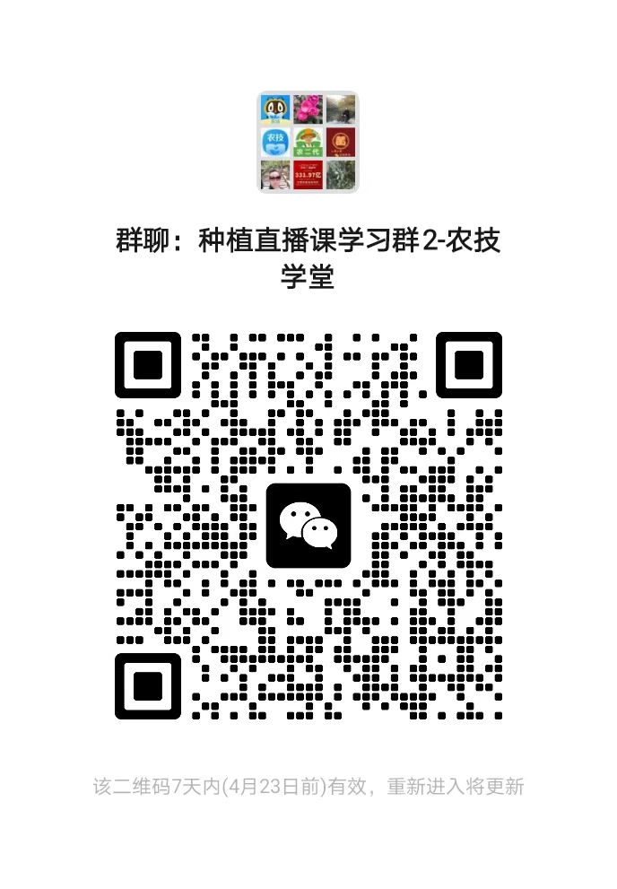 【直播預(yù)告】掃碼進(jìn)群免費(fèi)看直播！-圖片版權(quán)歸惠農(nóng)網(wǎng)所有