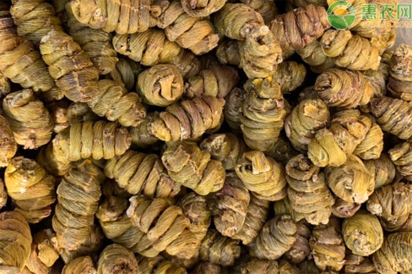 如何種植鐵皮石斛？-圖片版權(quán)歸惠農(nóng)網(wǎng)所有