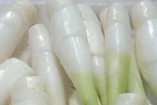 茭白的季节是几月份上市？