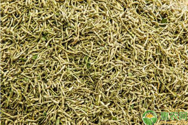 金銀花的種植與管理技術(shù)-圖片版權(quán)歸惠農(nóng)網(wǎng)所有