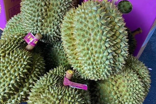 榴莲哪里出产的最好？
