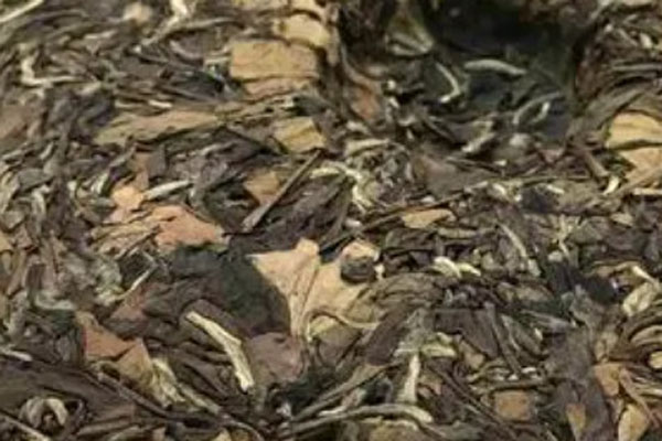 白茶哪里产的最好喝最正宗？