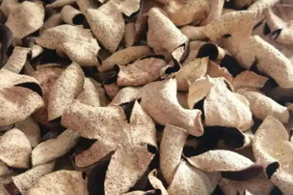 陈皮最好的是哪里产的？