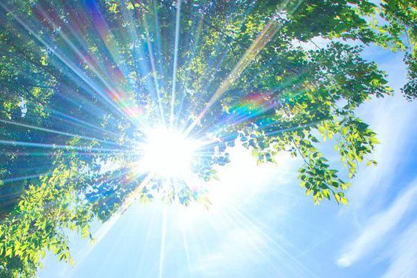 2025年夏至节气是哪一天？有哪些习俗？