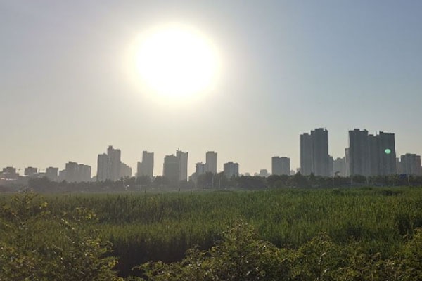 2025年小暑是几月几日？小暑是入伏吗？