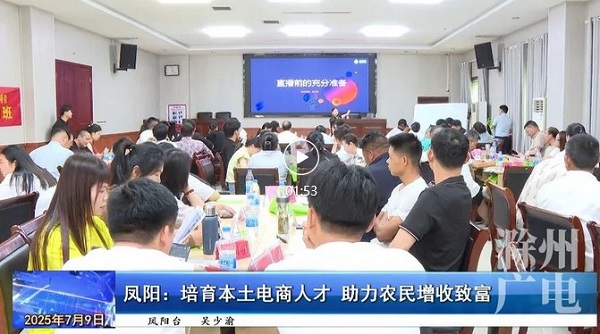 安徽鳳陽：電商人才“孵化”，農(nóng)民增收新路徑