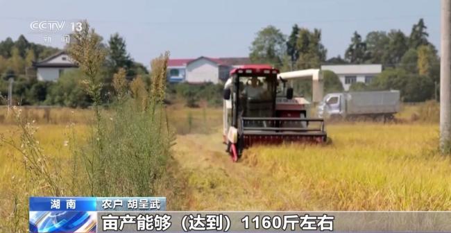 一大批农产品正走向你的餐桌