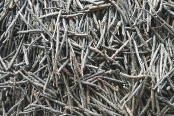 2025苦丁茶多少钱一斤？