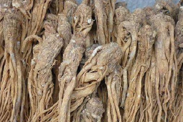 2025当归多少钱一斤市场价?