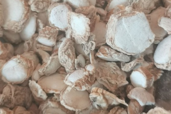 2025山奈多少钱一斤？