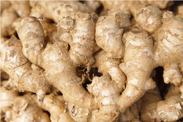 2025姜的价格是多少钱一斤?