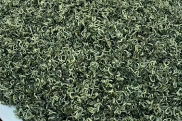 绿茶有哪些品种大全