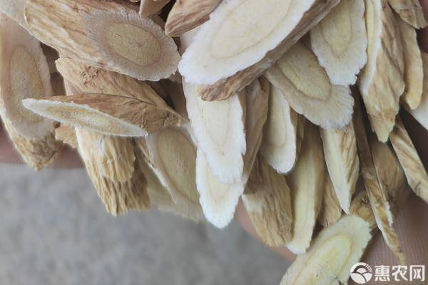 黃芪什么時(shí)候種植最好？-圖片版權(quán)歸惠農(nóng)網(wǎng)所有