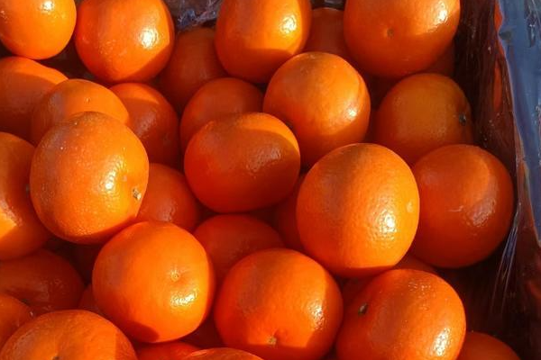 橘子什么时候成熟上市？
