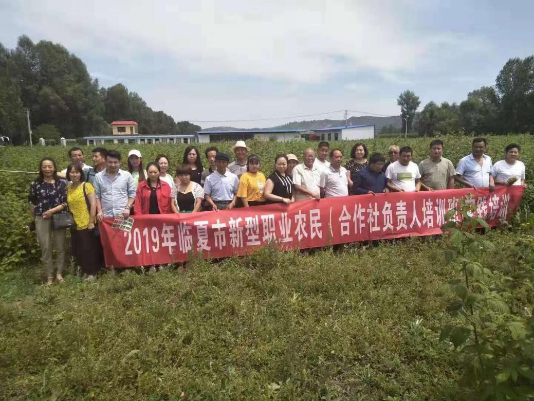 增收396.06萬元！這個千里之外的“專家號”真牛-圖片版權(quán)歸惠農(nóng)網(wǎng)所有