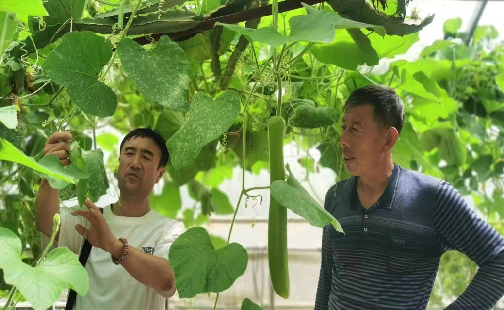 增收396.06萬元！這個千里之外的“專家號”真牛-圖片版權(quán)歸惠農(nóng)網(wǎng)所有