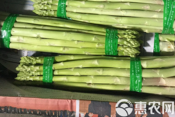 蘆筍的種植方法-圖片版權(quán)歸惠農(nóng)網(wǎng)所有