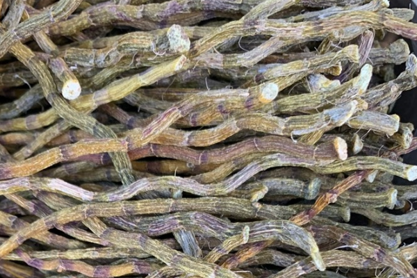 干铁皮石斛一斤多少钱？