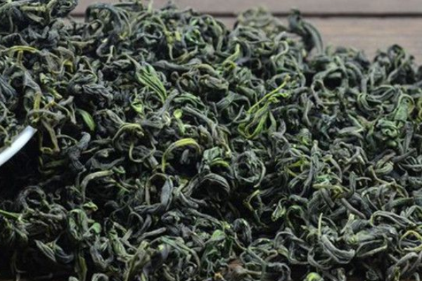 哪里产的绿茶比较有名？