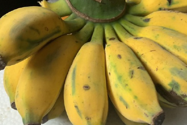 香蕉贵了一倍，现在香蕉价格多少钱一斤？