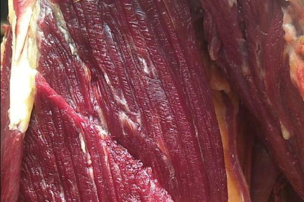 现在牛肉批发价格多少钱一斤？