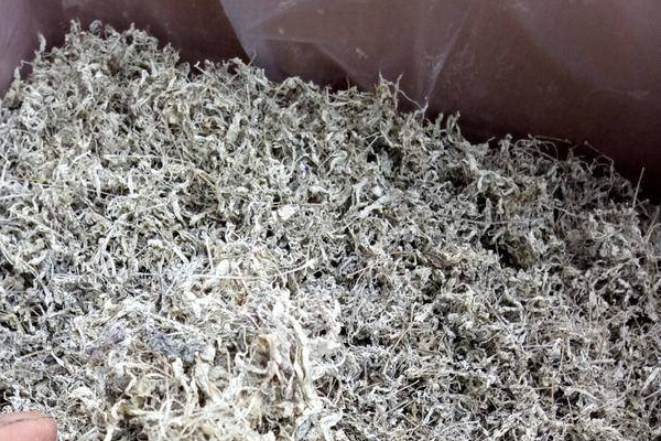 莓茶上市季节是几月份的？