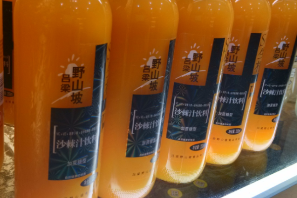 哪里产的沙棘原浆最好？