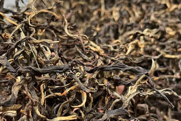 秋茶什么时候采摘的好喝？
