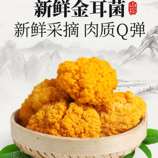 济南金耳菌