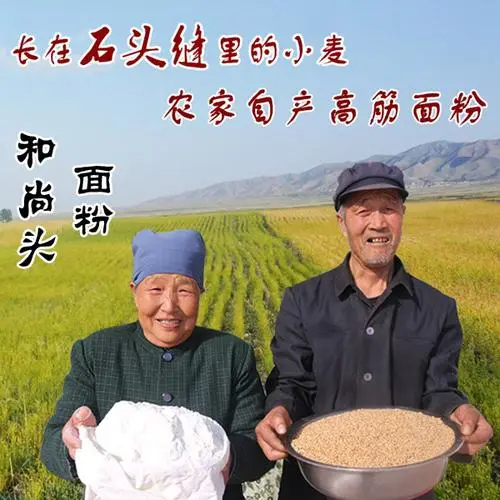 景泰县和尚头面粉