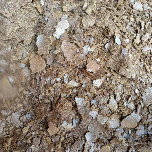 公安县熟榨菜籽饼