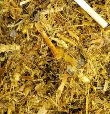 德州黄储，质量优良，价格便宜。