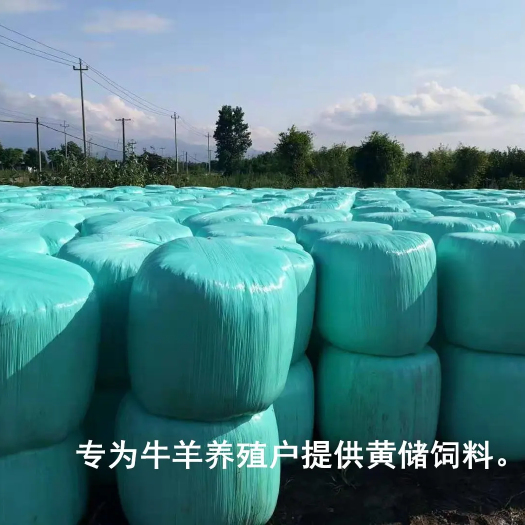 灵璧县优质黄储