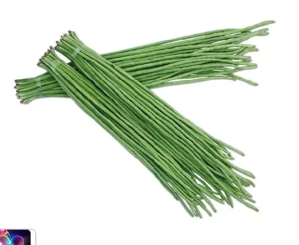 颍上县豆角