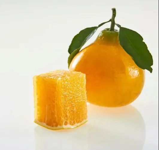 邵阳县柚子苗一阳光桔柚，品种饨正，叶片亮丽，无病虫害