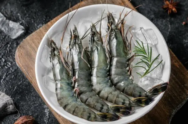 优质鲜活16头斑节虾大量出货