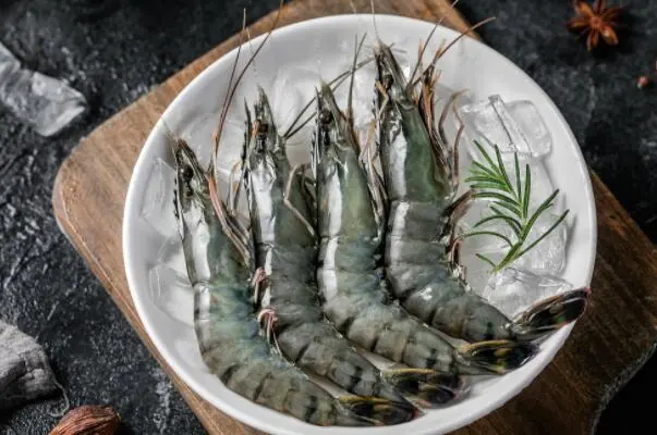 优质鲜活16头斑节虾大量出货