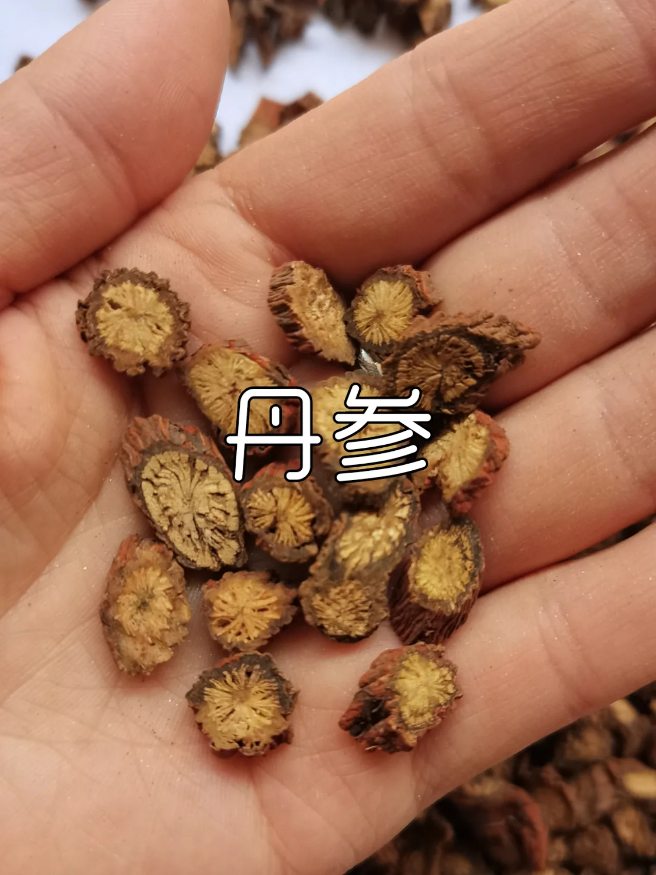 【包邮】无硫大丹参片云南大山中药精选紫丹参山东丹参打粉
